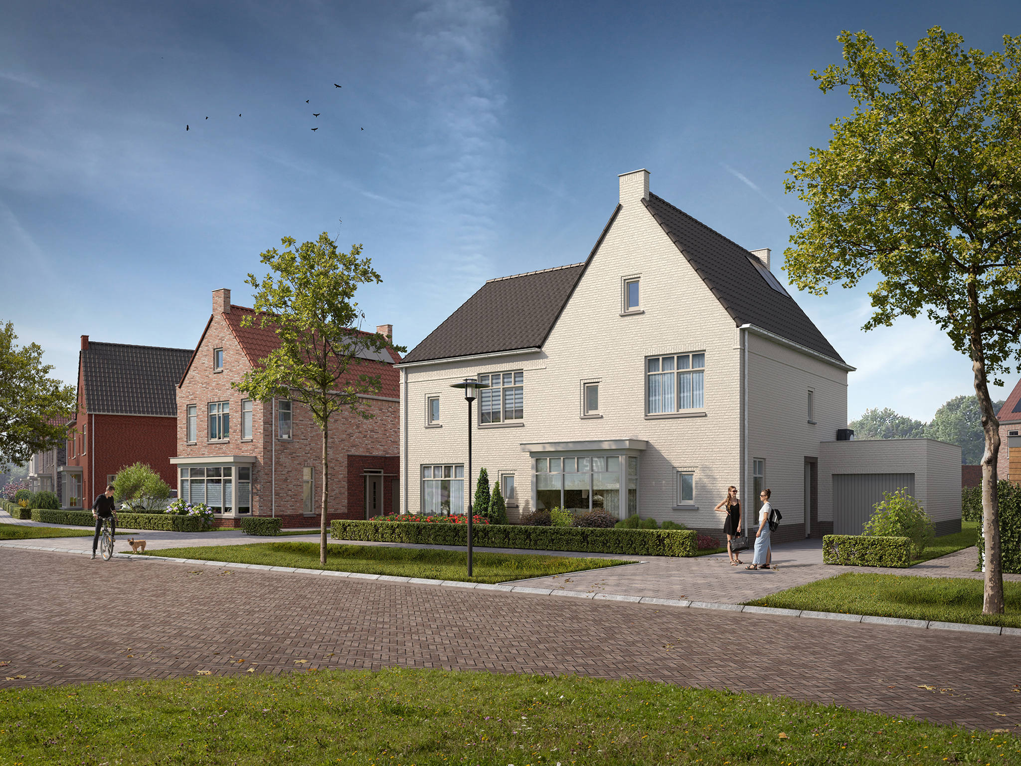 Woningen De Hoge Regt Nieuwbouw Beek
