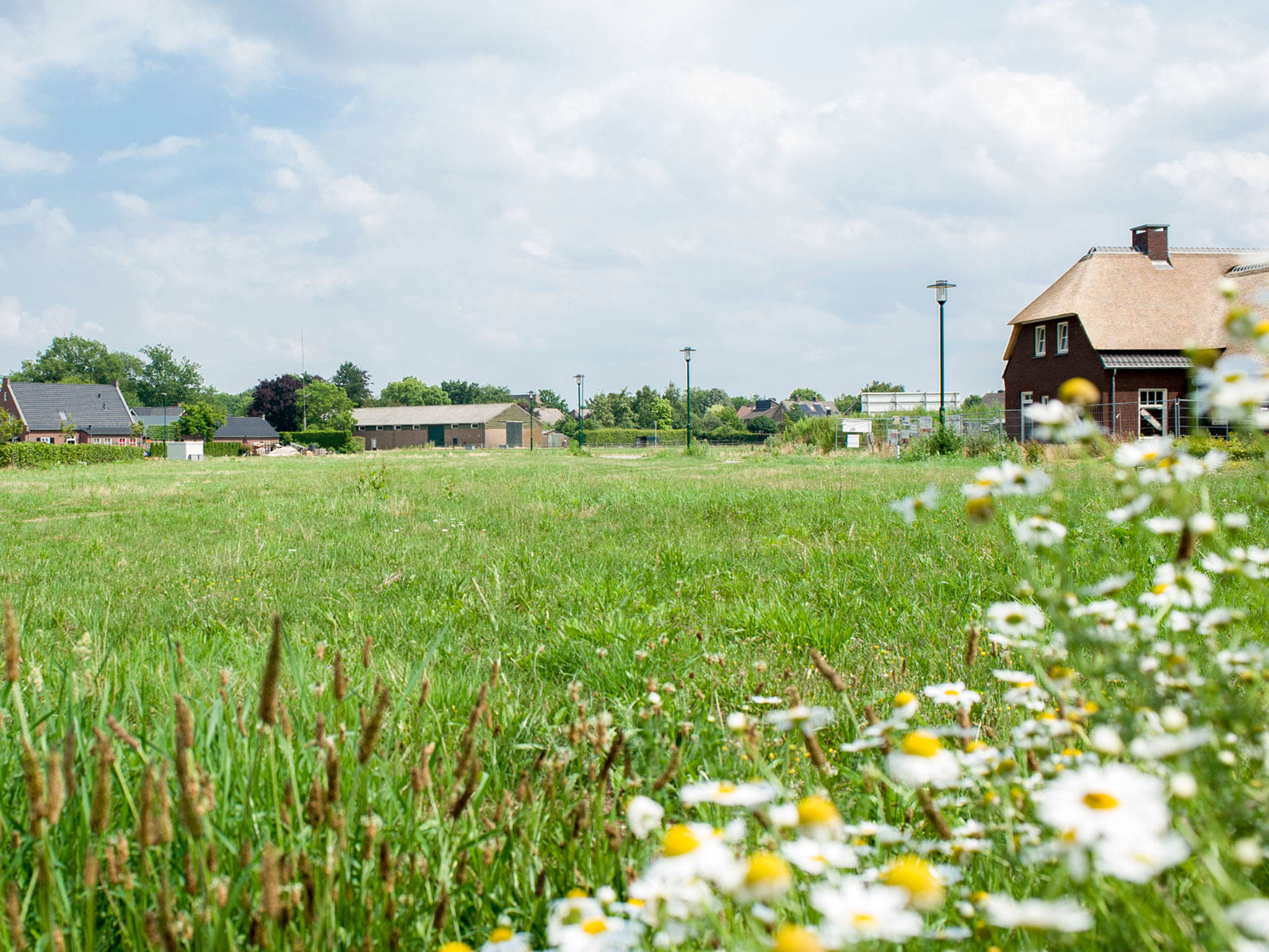 Woningen De Hoge Regt Nieuwbouw Beek en Donk Woningen De Hoge Regt Nieuwbouw Beek en Donk