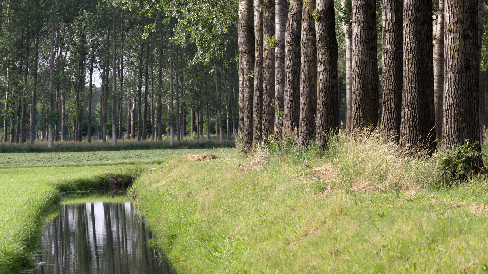 Nieuwbouw Beek en Donk De Hoge
